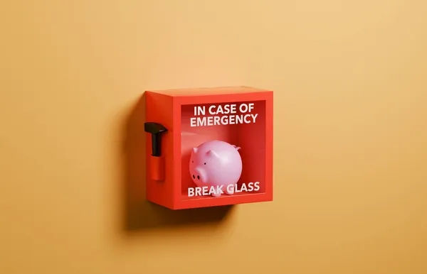 Sparschwein in Box mit Aufschrift "In Case Of Emergency Break Glass"