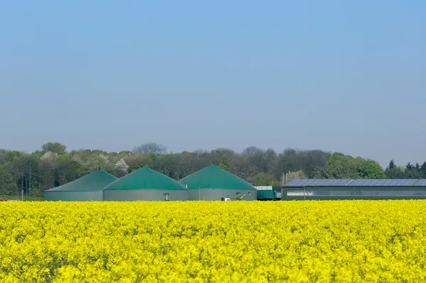 Biogasanlage hinter einem Rapsfeld